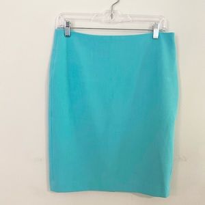 Tiffany Blue pencil skirt